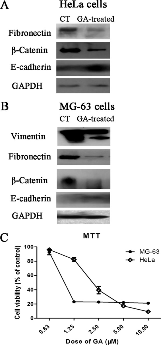 Fig. 9.