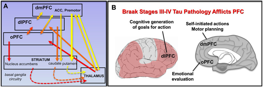 FIGURE 1.