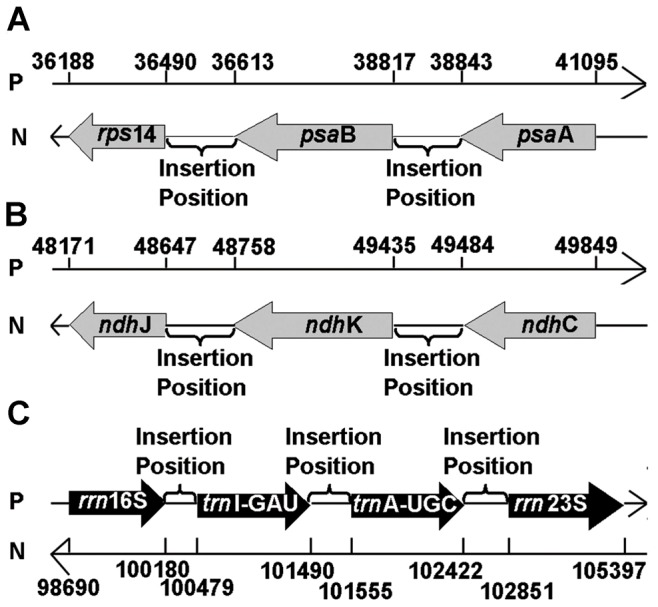 Figure 7