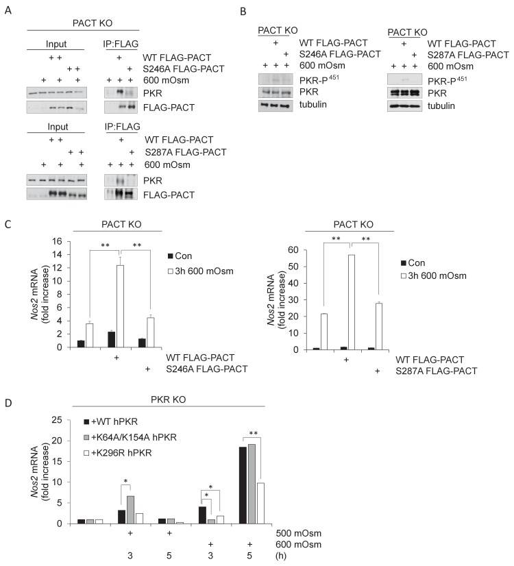 Figure 1—figure supplement 1.