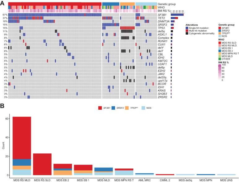 Figure 1. Mutational landscape of MDSRS+. A, Mutation profile displaying clusters identified by unsupervised clustering analysis in MDSRS+. Genetic aberrations and somatic mutations with prevalence >2% are shown. Genes having ≥2 distinct mutations or one mutation associated with chromosomal alterations of the same gene locus are labeled as multihit and distinguished by single-mutation. Genetic subgroup, WHO subtypes, and BM RS percentage (BM RS %) are shown above the heatmap. B, Distribution of genetic classes across WHO categories of the MDSRS+. Complex, complex karyotype; del, deletion; mh, multihit; upd, uniparental disomy.