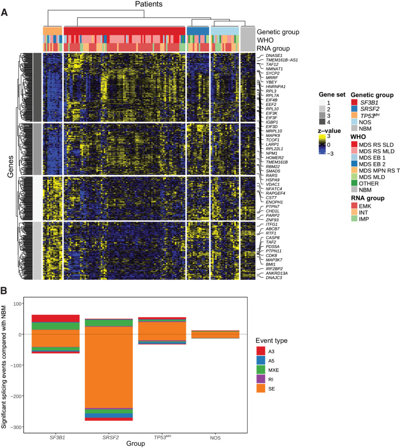 Figure 3. Supervised transcriptome analysis according to MDSRS+ genomic classification. A, Heat map showing differentially expressed genes among SF3B1, SRSF2, and TP53MH MDSRS+ compared with NBM controls. Rows represent genes and columns represent samples. Genetic, WHO, and transcriptomic subtypes are shown as covariates. B, Types and numbers of splicing alterations significantly associated with each genetic group. Bars in the top half indicate alternative splicing events that were enriched in MDSRS+, bars in the bottom half indicate alternative splicing events enriched in the healthy donors used as controls, stratified by splicing alterations subtypes.