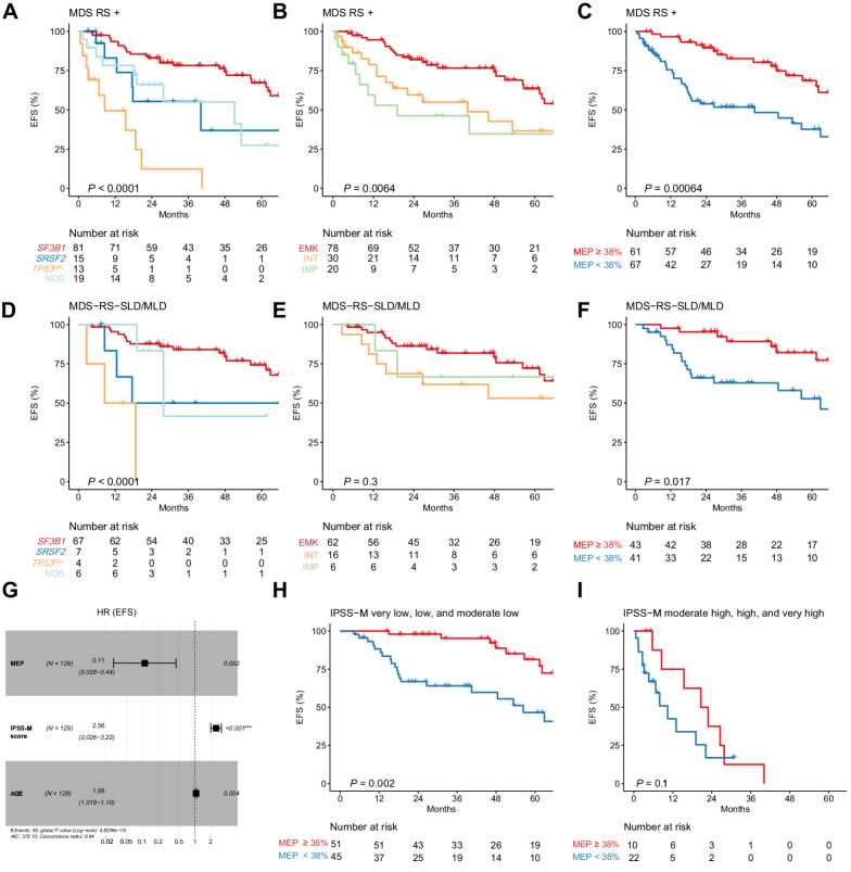 Figure 5. Prognostic effect of genomic and transcriptomic analyses on MDSRS+ outcome. EFS stratified by genomic (A), transcriptomic classification (B), and estimated MEP percentage (C) in all MDSRS+ (A–C) and MDS-RS-SLD/MLD only (D–F). Multivariable Cox proportional hazard model for EFS in all MDSRS+ including age, IPSS-M score, and estimated MEP percentage as continuous variables (G). EFS stratified by estimated MEP percentage and IPSS-M risk category (H and I) (full representation of the six IPSS-M categories shown in Supplementary Fig. S21A).