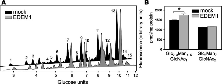 Fig. 7