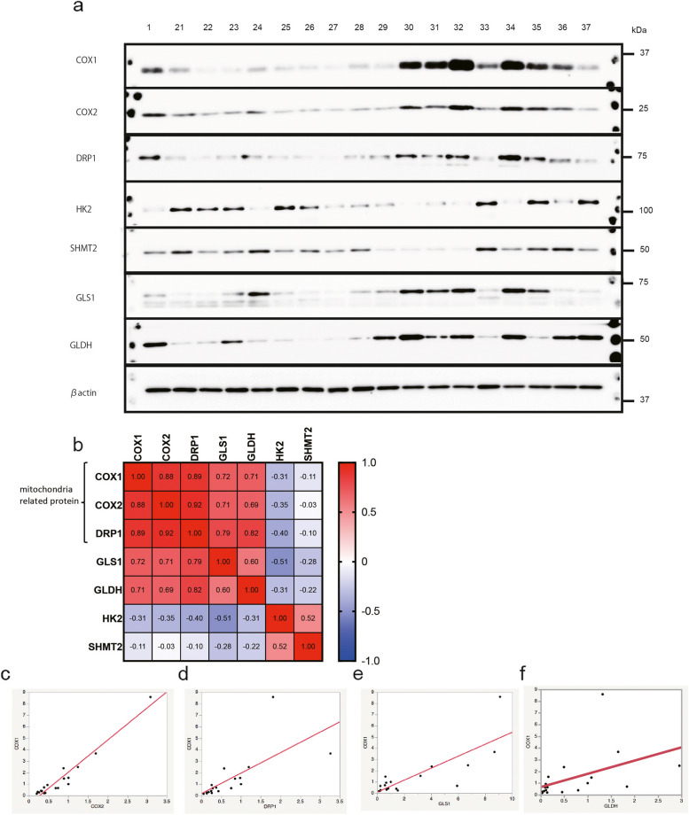 Fig. 3