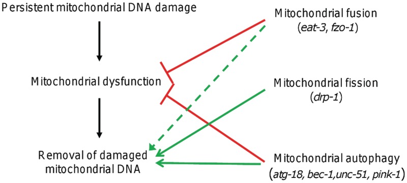 Figure 8.