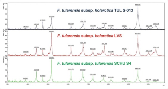 FIGURE 3