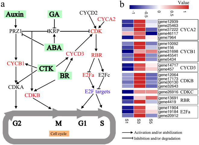 Figure 6