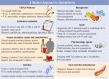 Graphical Abstract