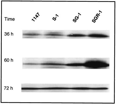 FIG. 5