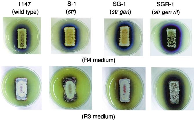 FIG. 1