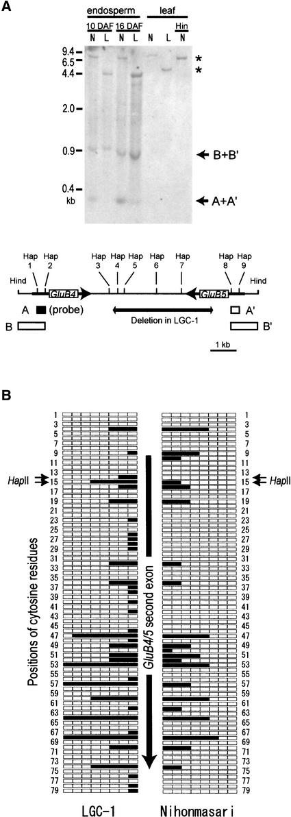 Figure 7.