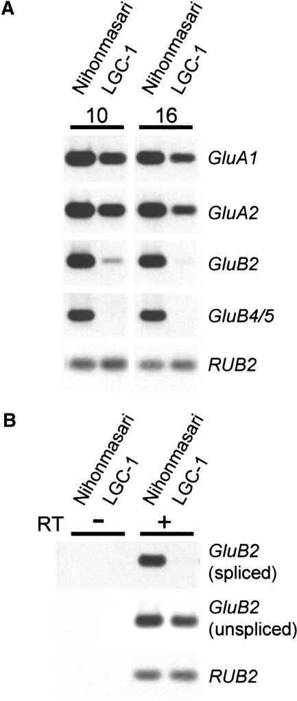 Figure 4.