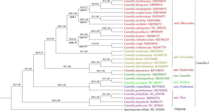 Fig. 7