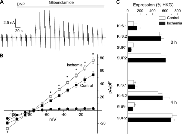 Fig. 6.