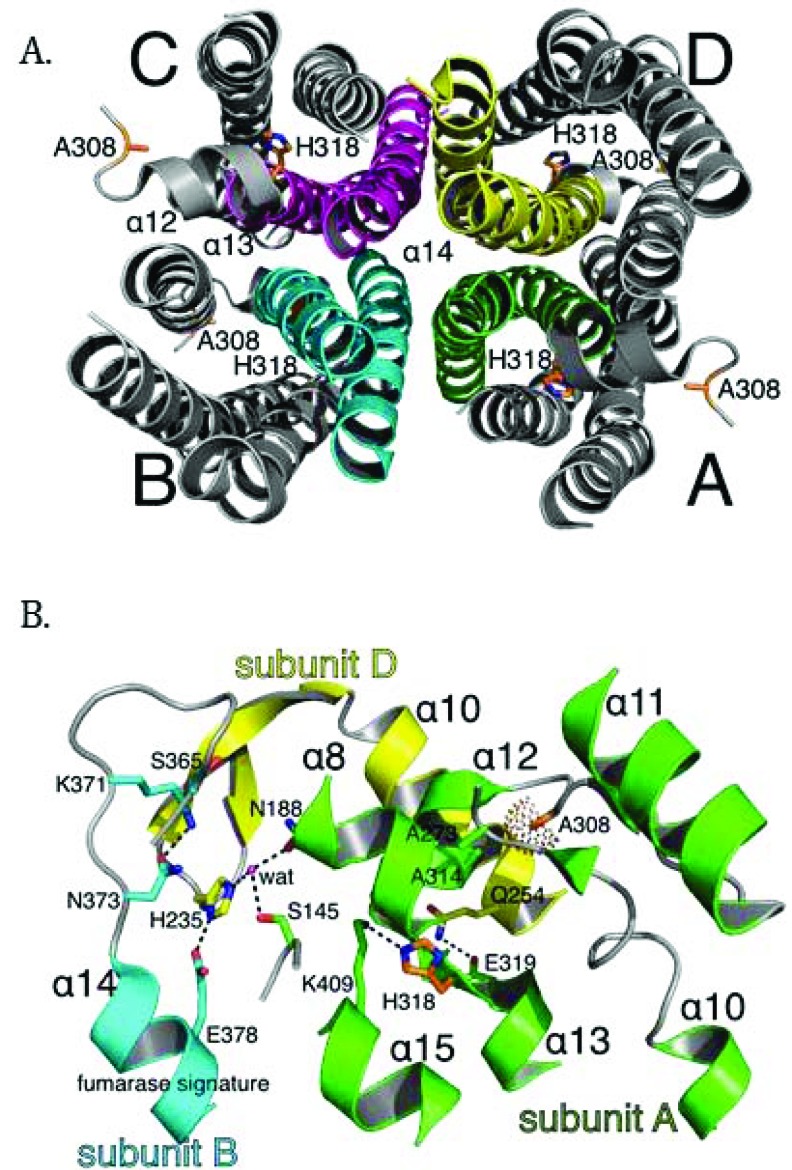 Fig. (7)