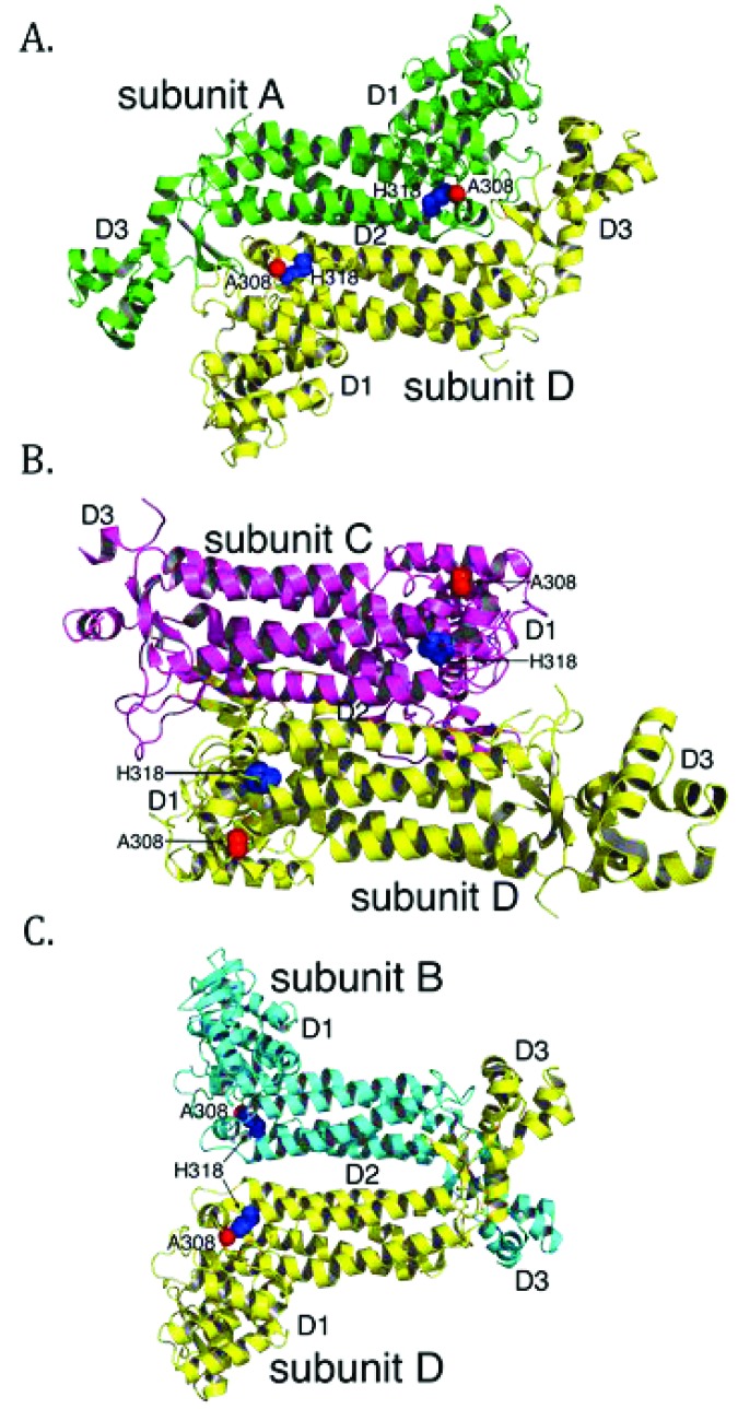 Fig. (3)