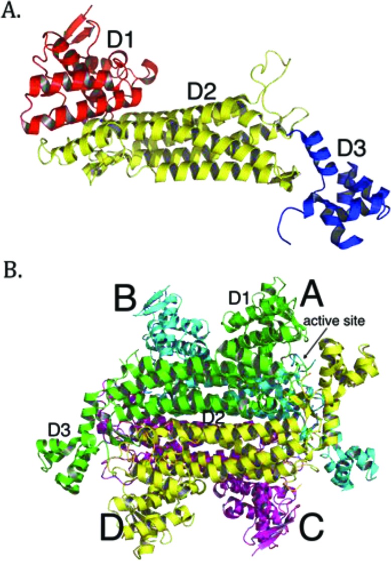 Fig. (1)