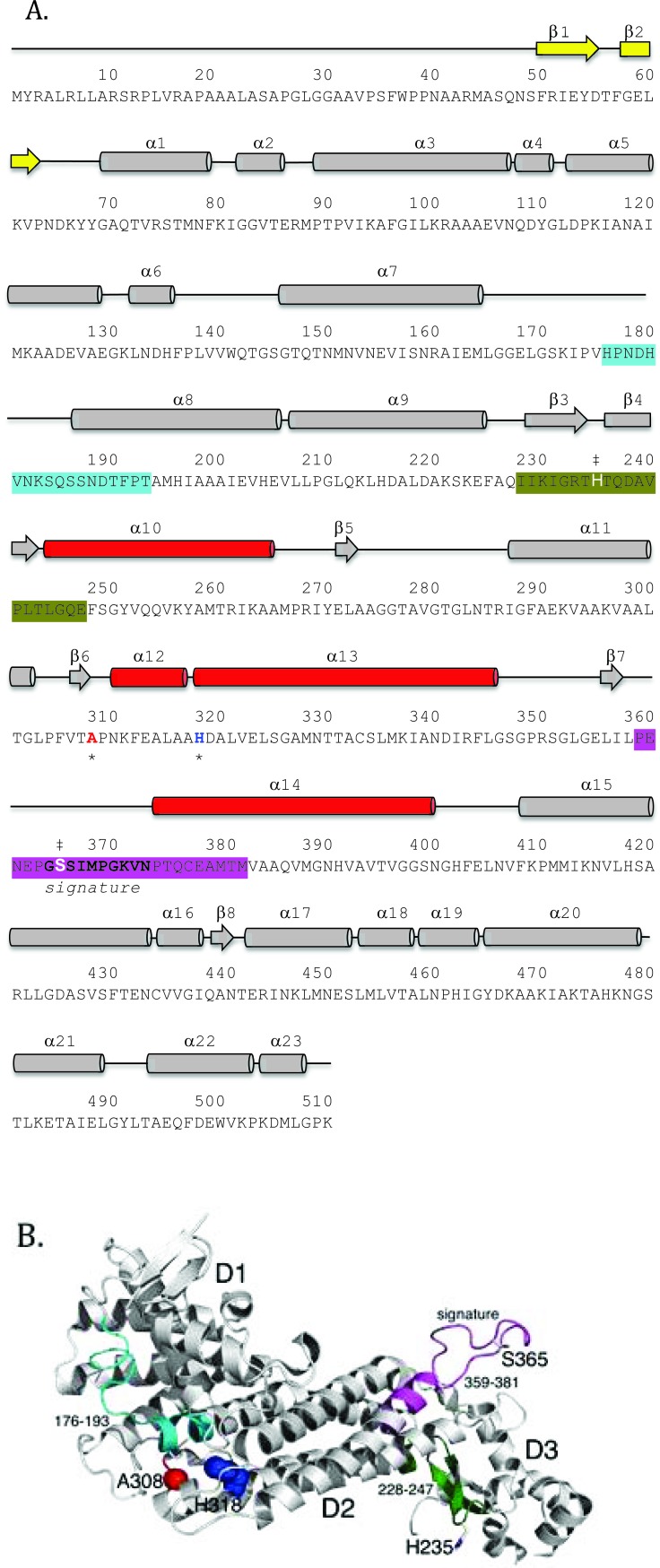 Fig. (2)