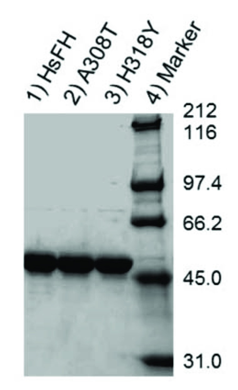 Fig. (4)