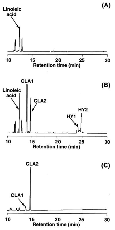 FIG. 1