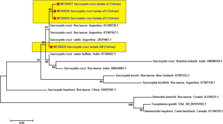 Fig. 4 :