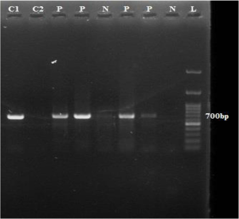 Fig. 2: