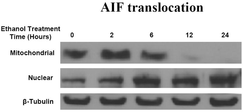 Fig 5