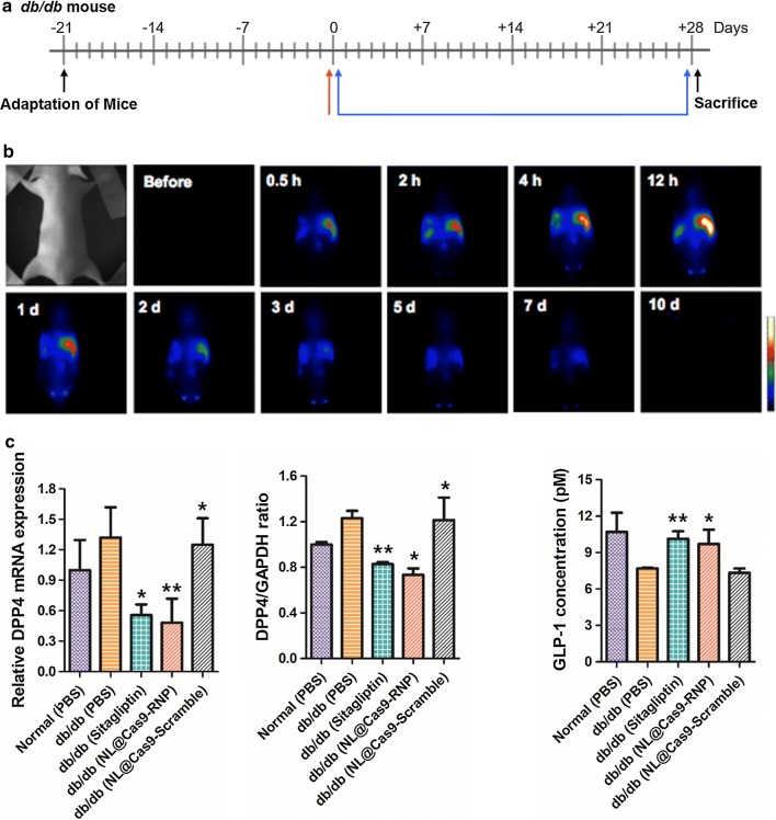 Fig. 3