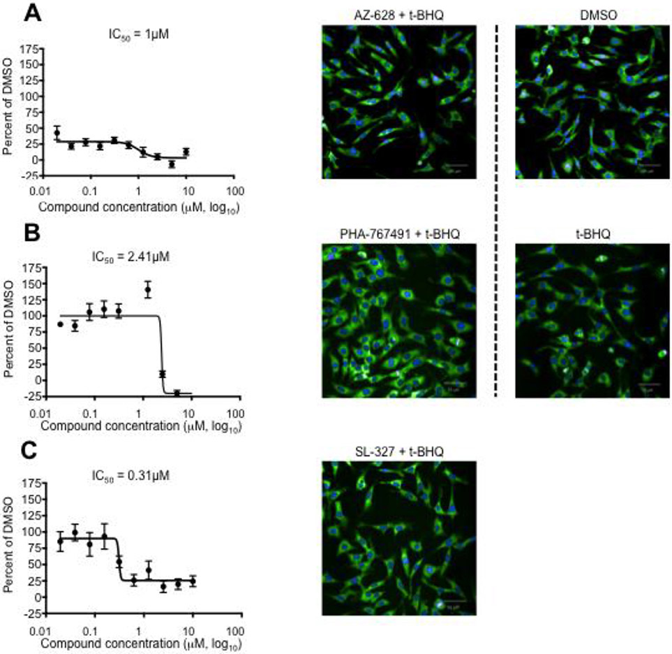 Figure 4: