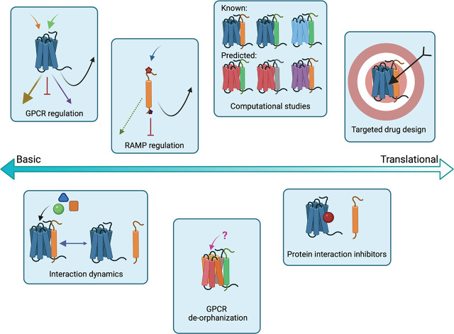 graphic file with name pharmrev.120.000180absf1.jpg