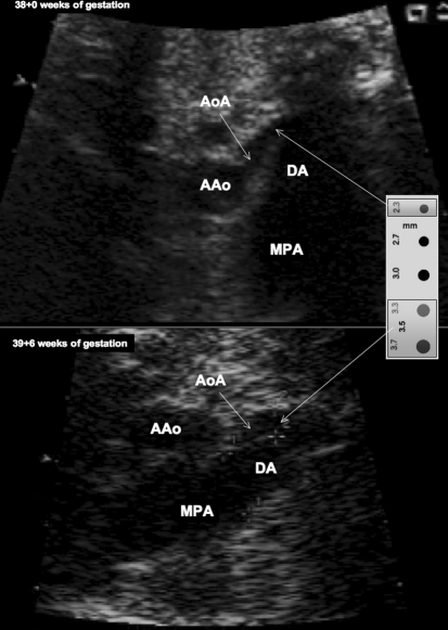 Fig. 5