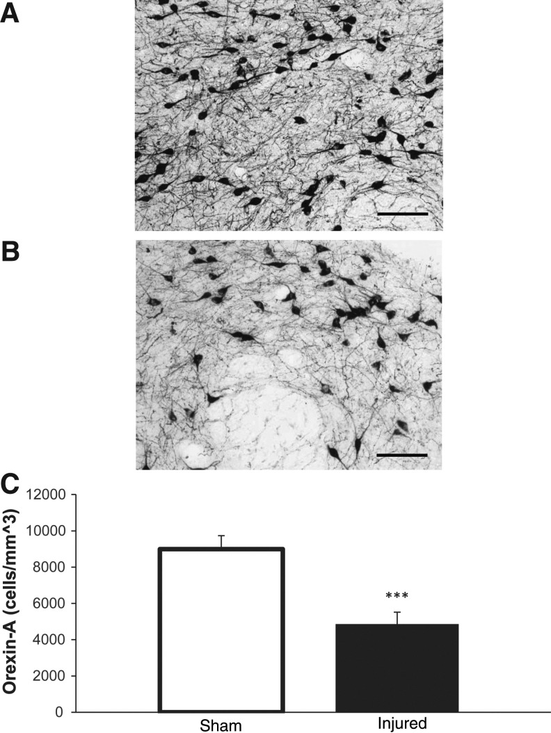 FIG. 7.