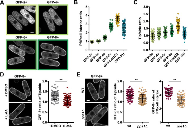 FIGURE 6: