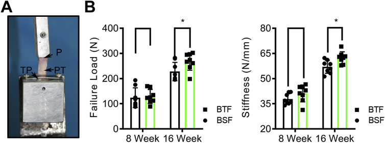 Figure 6