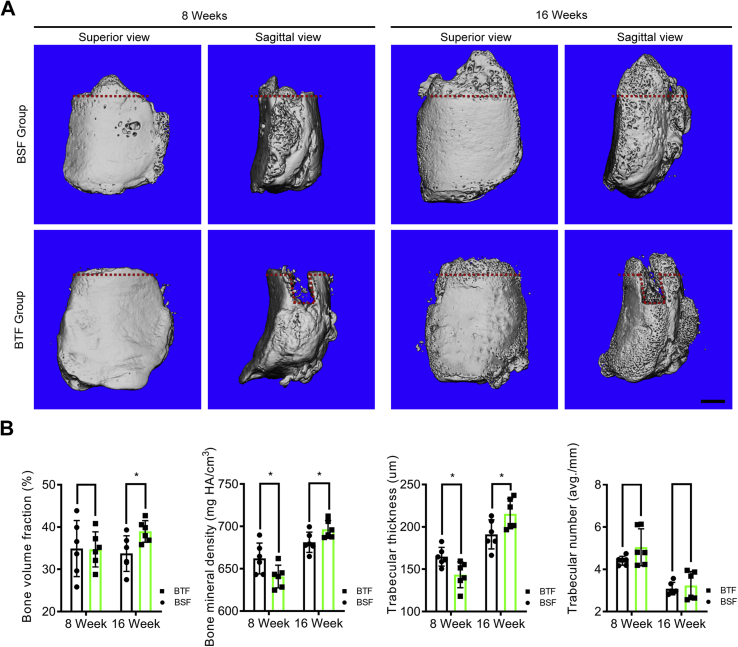 Figure 3