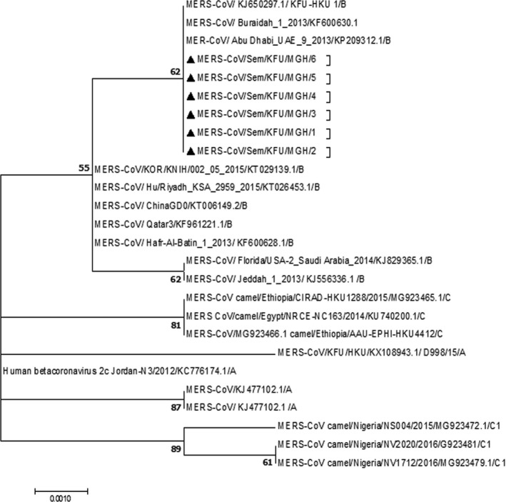 FIGURE 1