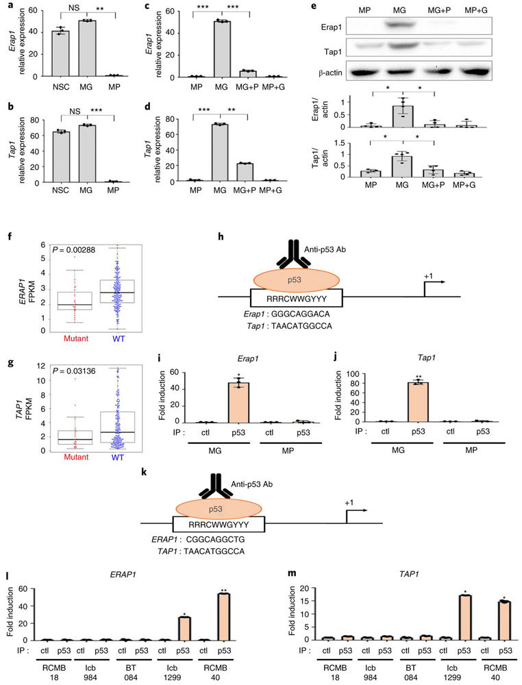 Figure 3: