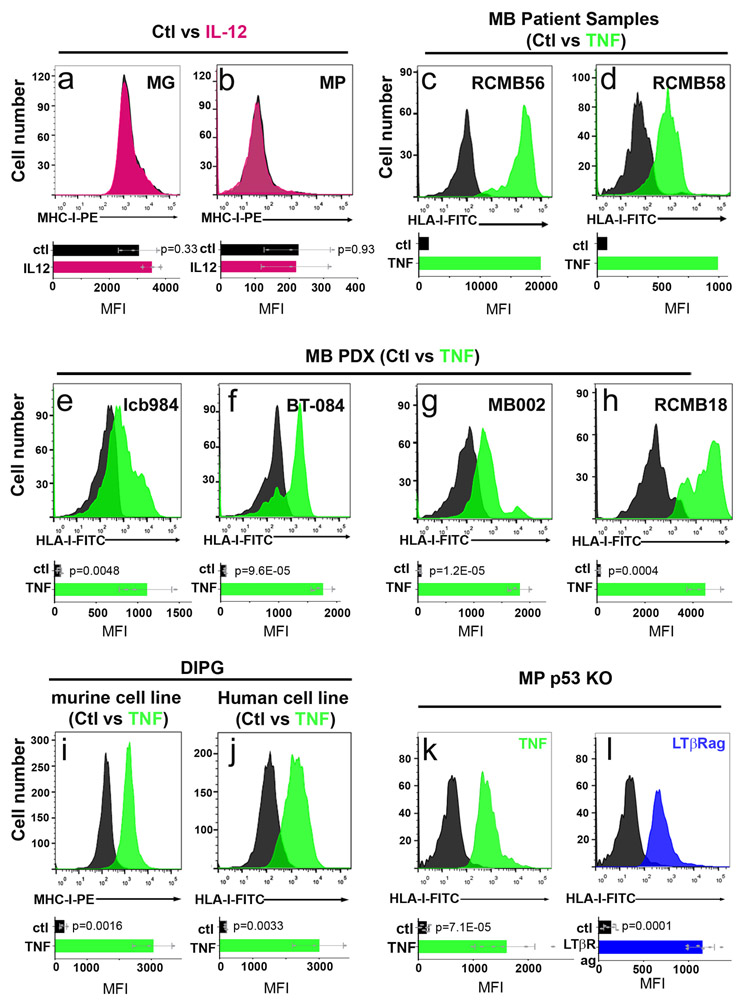 Extended Data Fig. 6