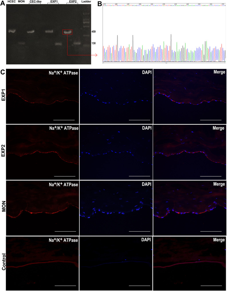 Figure 4.