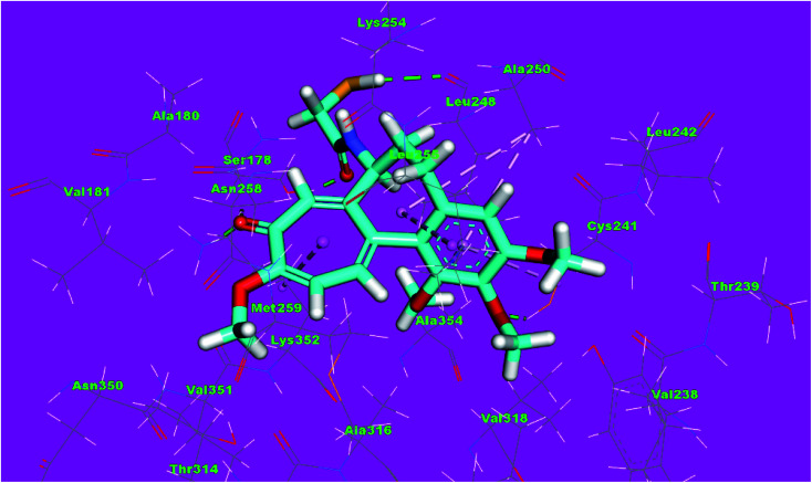 Fig. 12