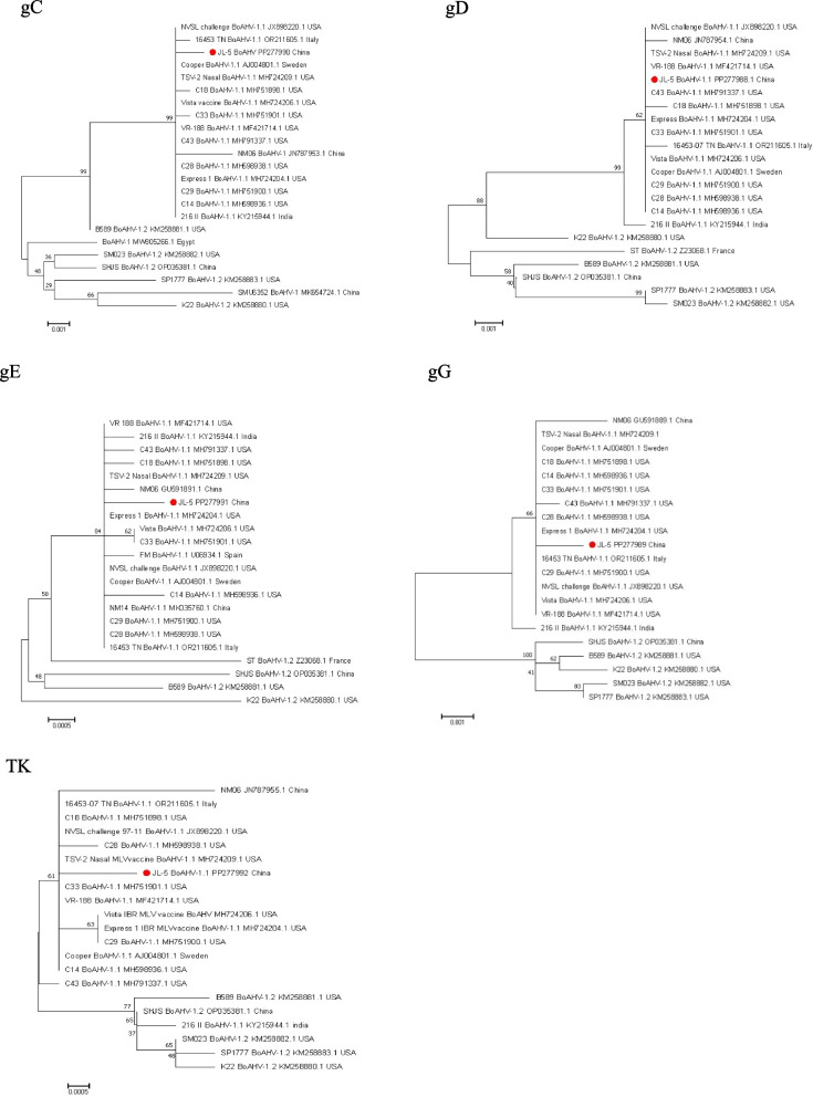 Fig. 4