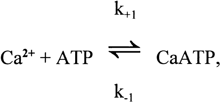 Scheme B