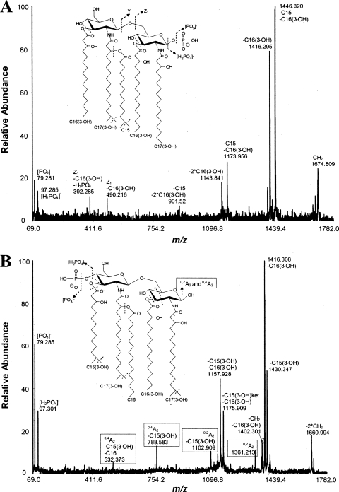 FIG. 2.