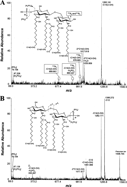 FIG. 5.