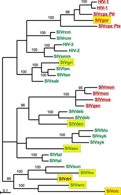 FIG. 1.