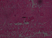 [Table/Fig-12]: