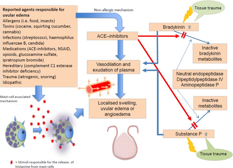 Figure 2