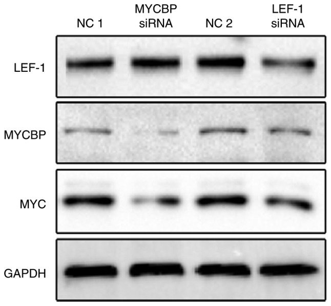 Figure 5.