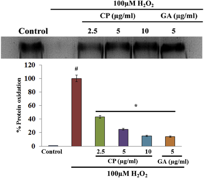 Fig. 4